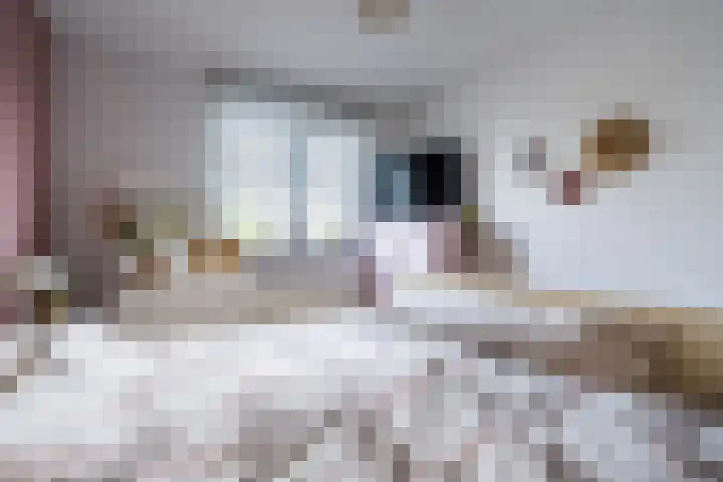 Hooghuijs 2 Nederweert thumbnail 25