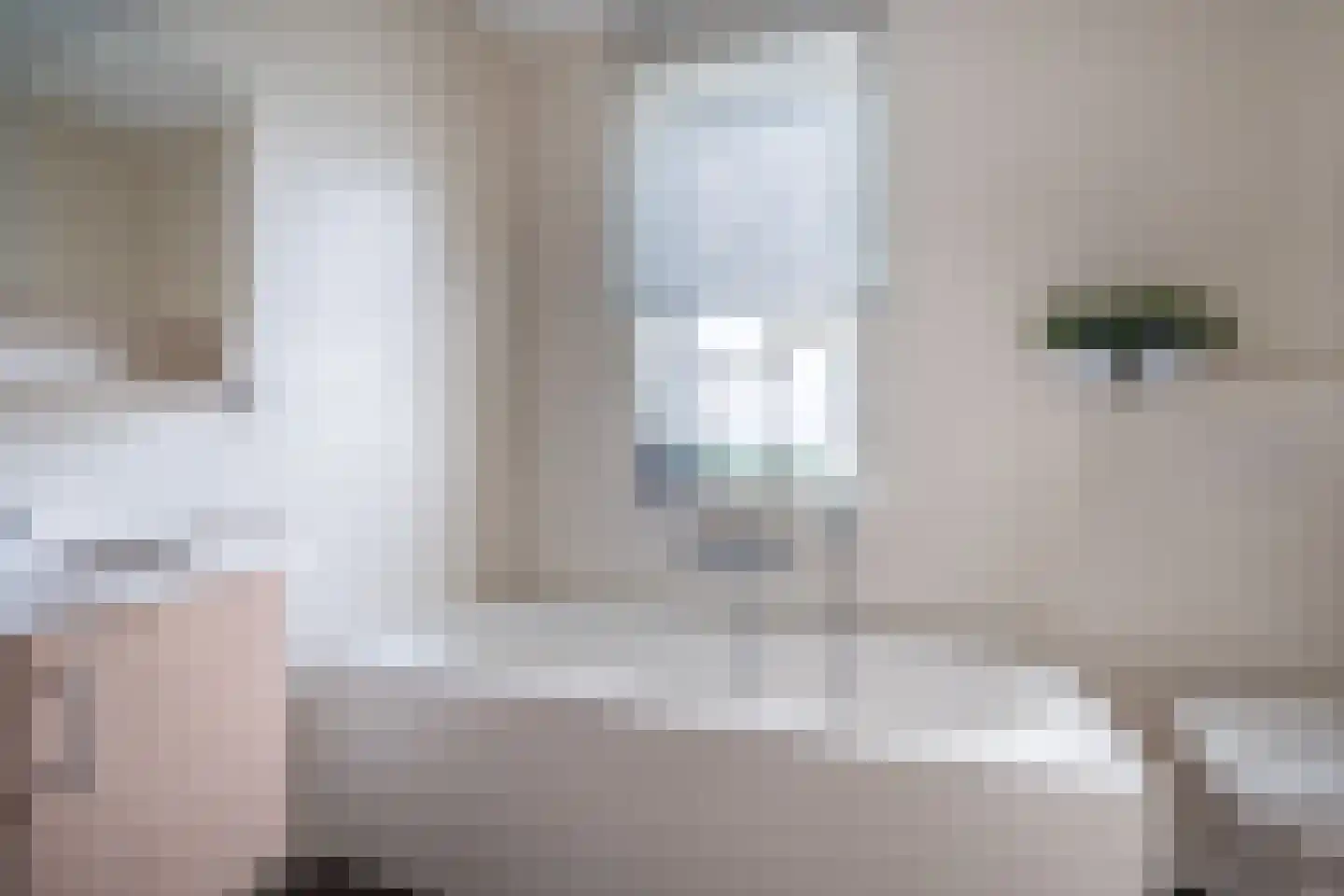 Hooghuijs 2 Nederweert thumbnail 30