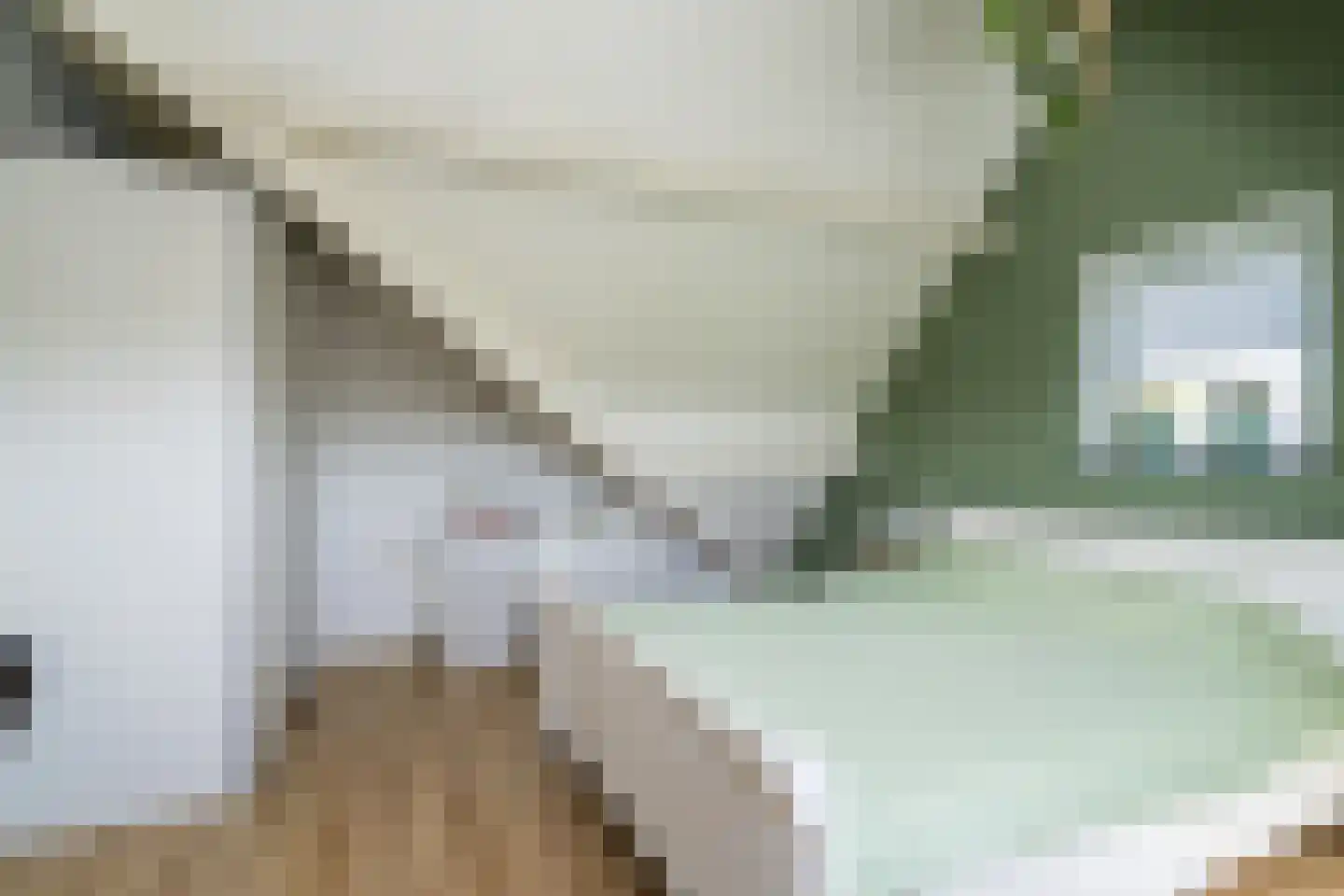 Hooghuijs 2 Nederweert thumbnail 33