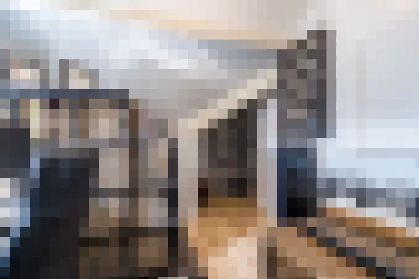 Hooghuijs 2 Nederweert thumbnail 38