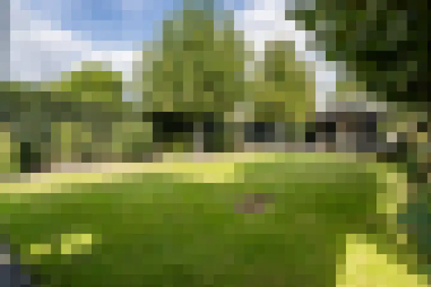 Hooghuijs 2 Nederweert thumbnail 39