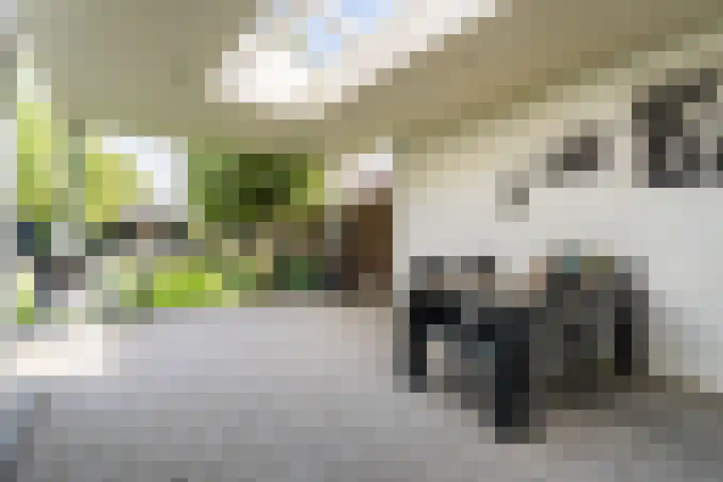 Hooghuijs 2 Nederweert thumbnail 43