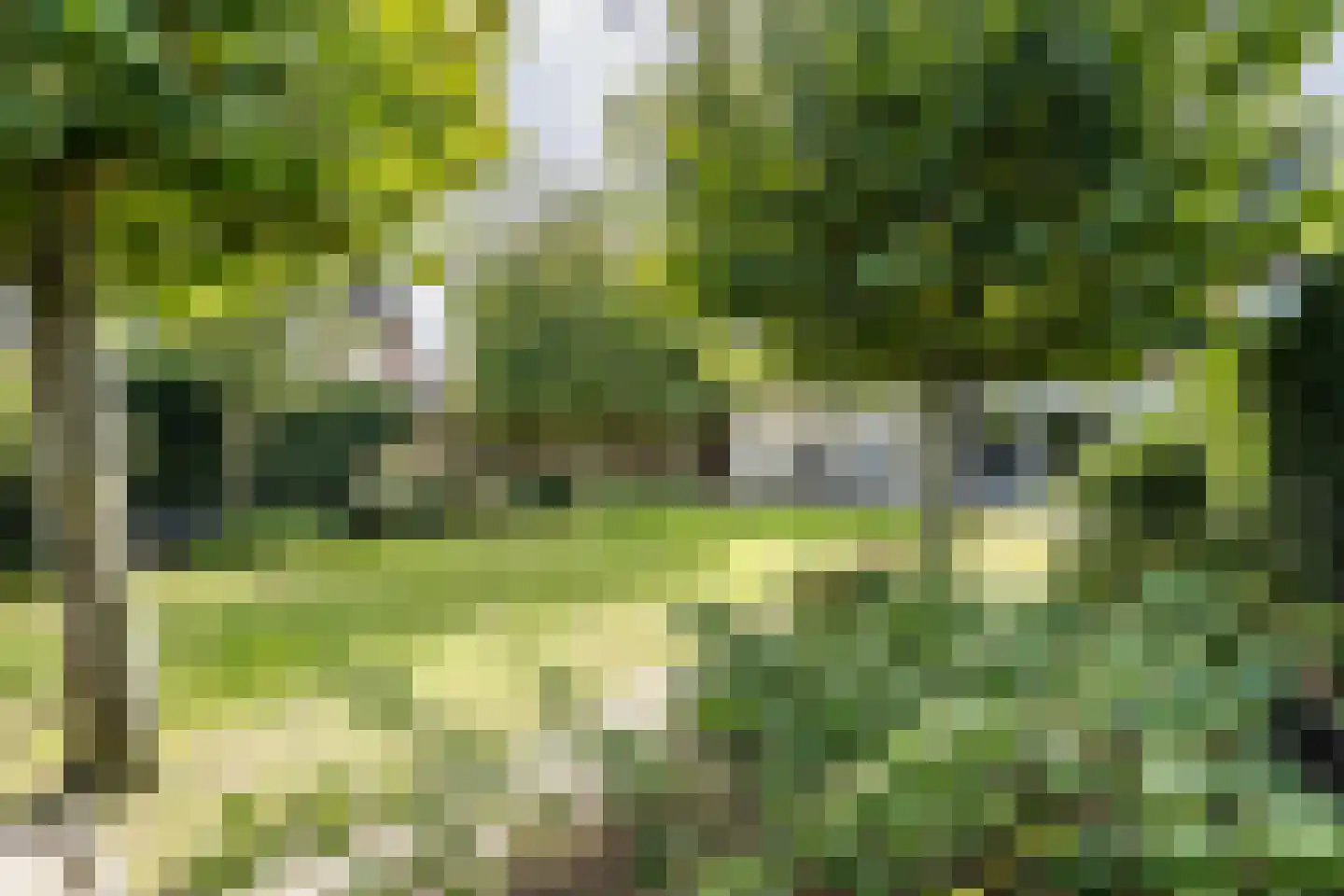 Hooghuijs 2 Nederweert thumbnail 45