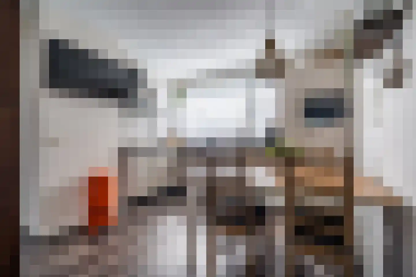 Hooghuijs 2 Nederweert thumbnail 5
