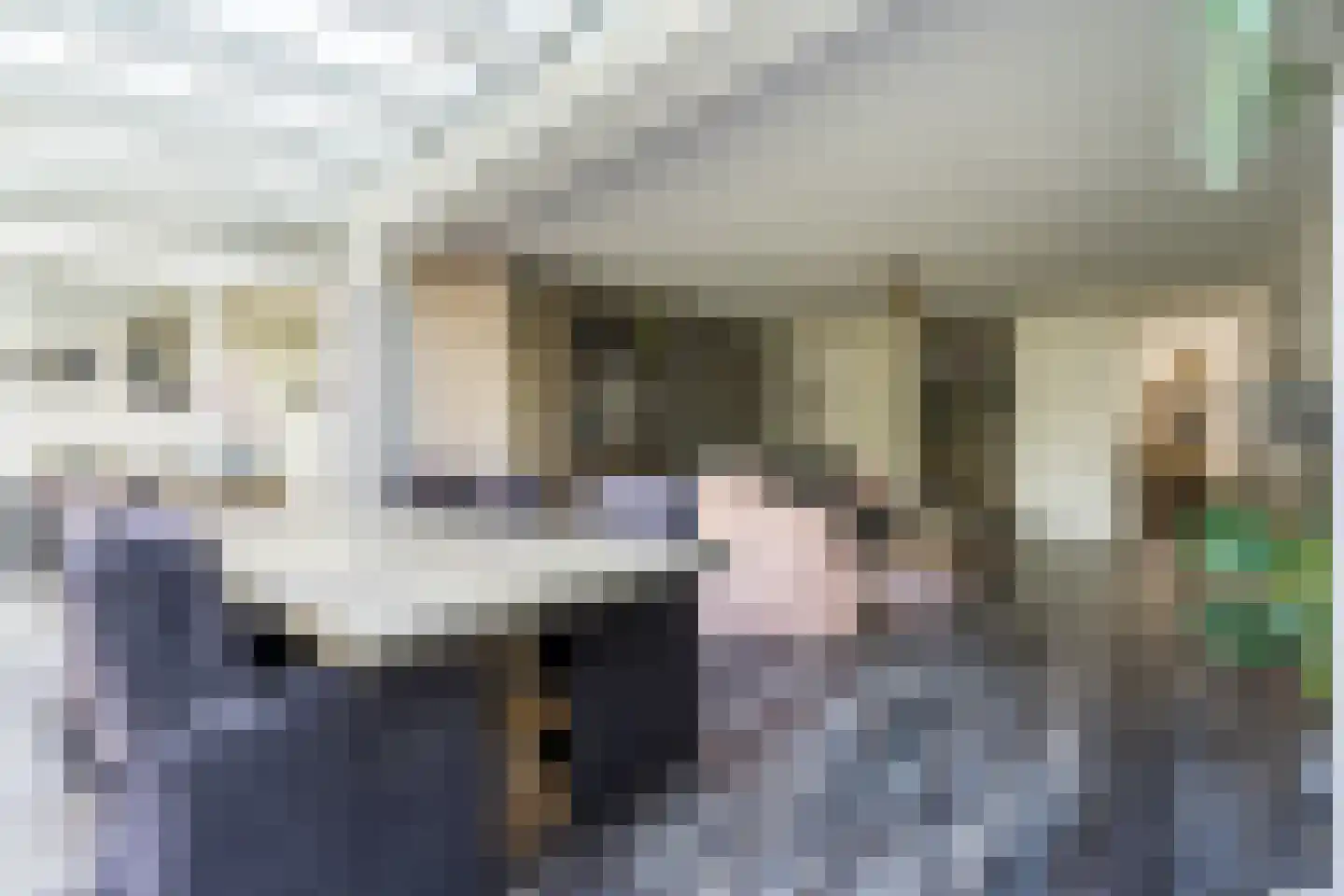 Hooghuijs 2 Nederweert thumbnail 6
