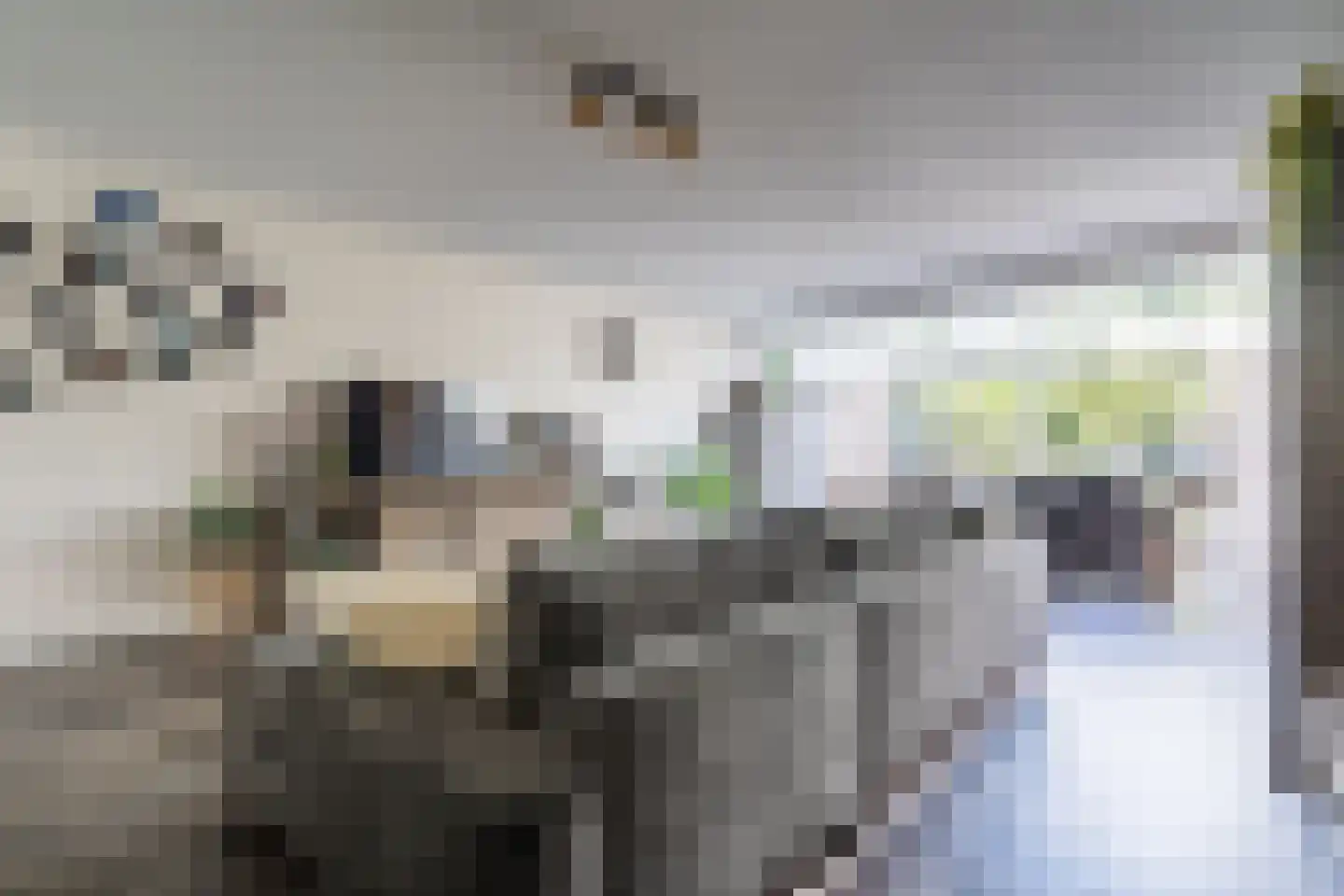 Hooghuijs 2 Nederweert thumbnail 7