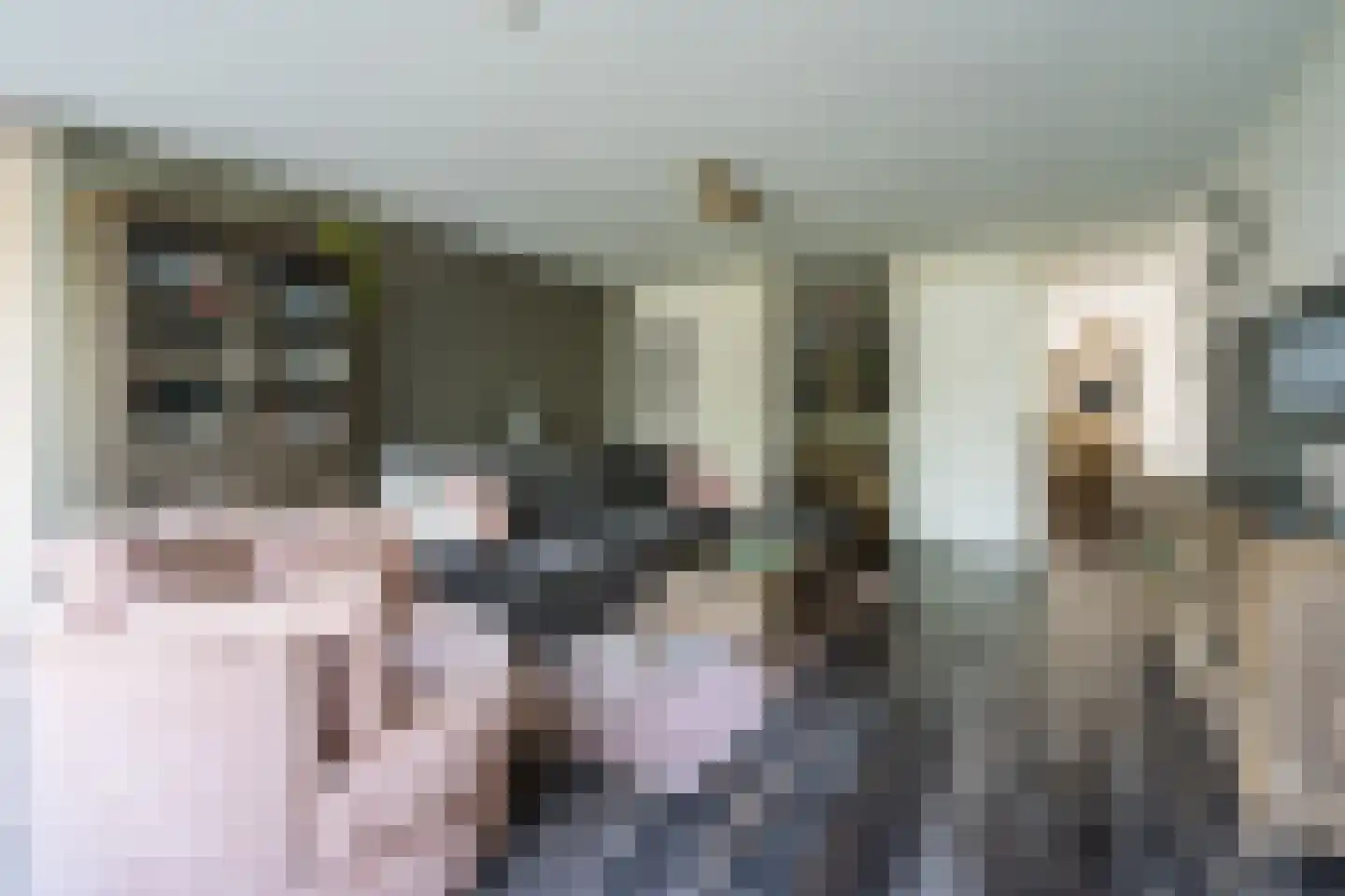 Hooghuijs 2 Nederweert thumbnail 8