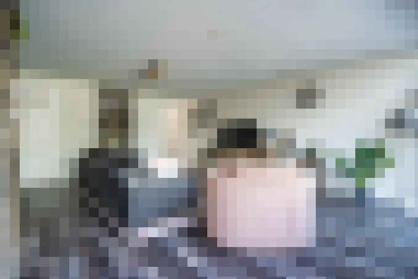 Hooghuijs 2 Nederweert thumbnail 9