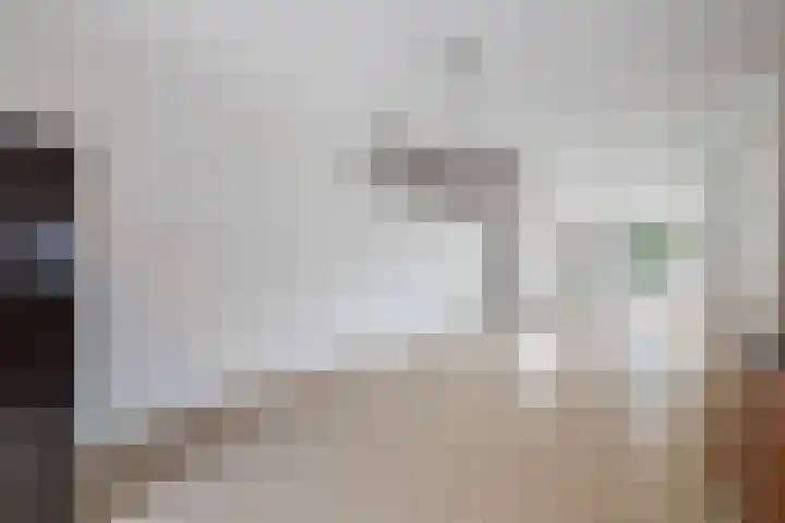Hooghuijs 8 Nederweert thumbnail 15