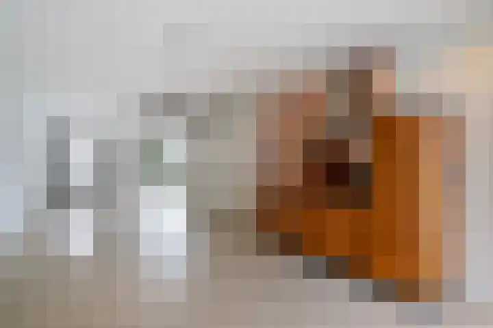 Hooghuijs 8 Nederweert thumbnail 17