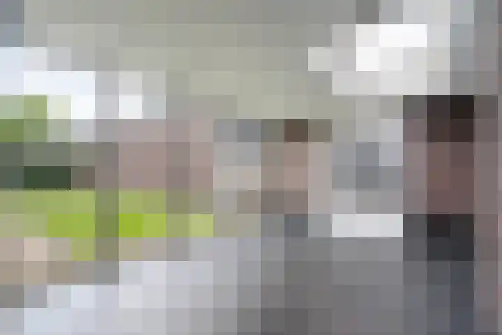 Hooghuijs 8 Nederweert thumbnail 19