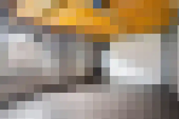 Hooghuijs 8 Nederweert thumbnail 23