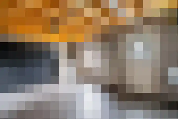 Hooghuijs 8 Nederweert thumbnail 24