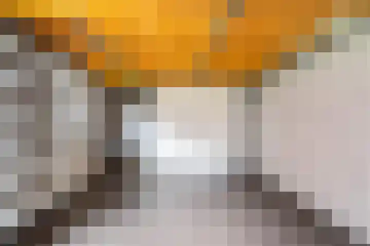 Hooghuijs 8 Nederweert thumbnail 25