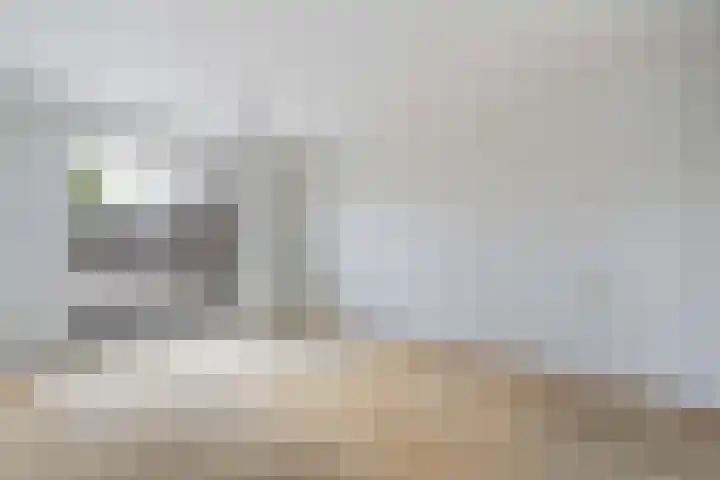 Hooghuijs 8 Nederweert thumbnail 30