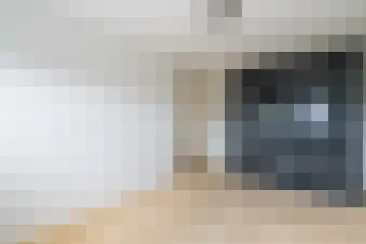Hooghuijs 8 Nederweert thumbnail 33