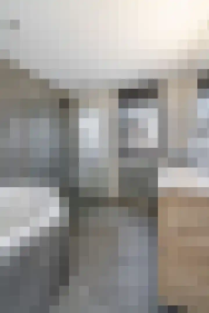 Hooghuijs 8 Nederweert thumbnail 35