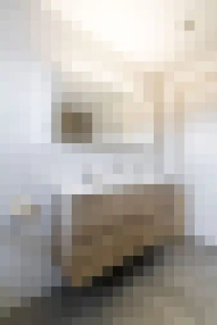 Hooghuijs 8 Nederweert thumbnail 36