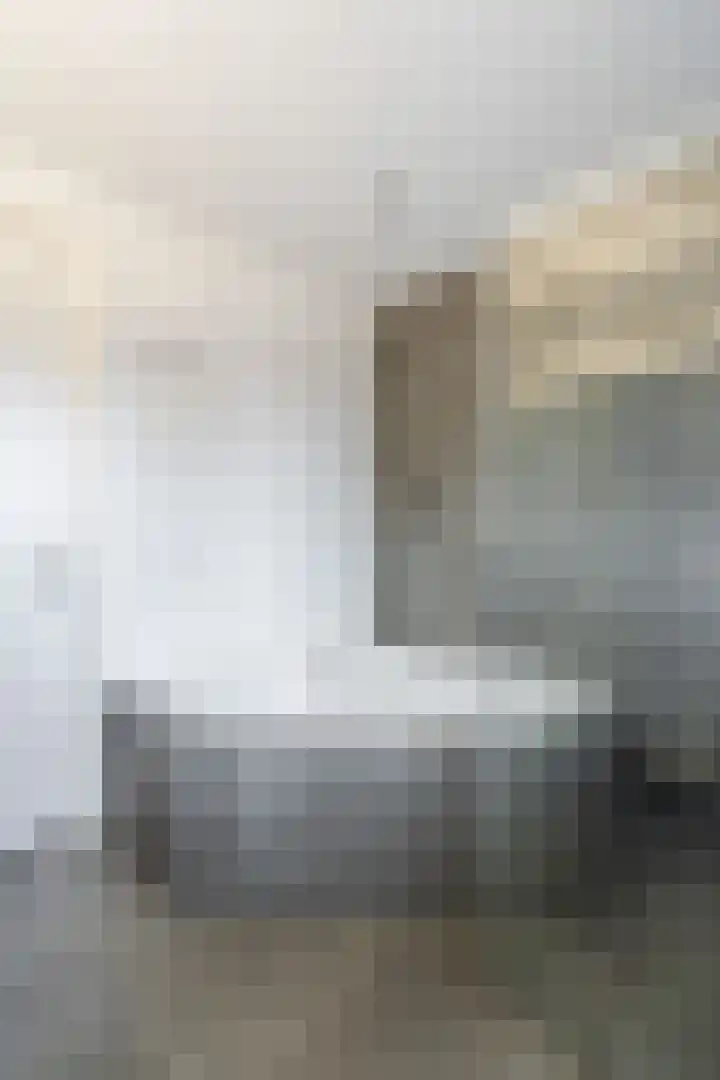 Hooghuijs 8 Nederweert thumbnail 37