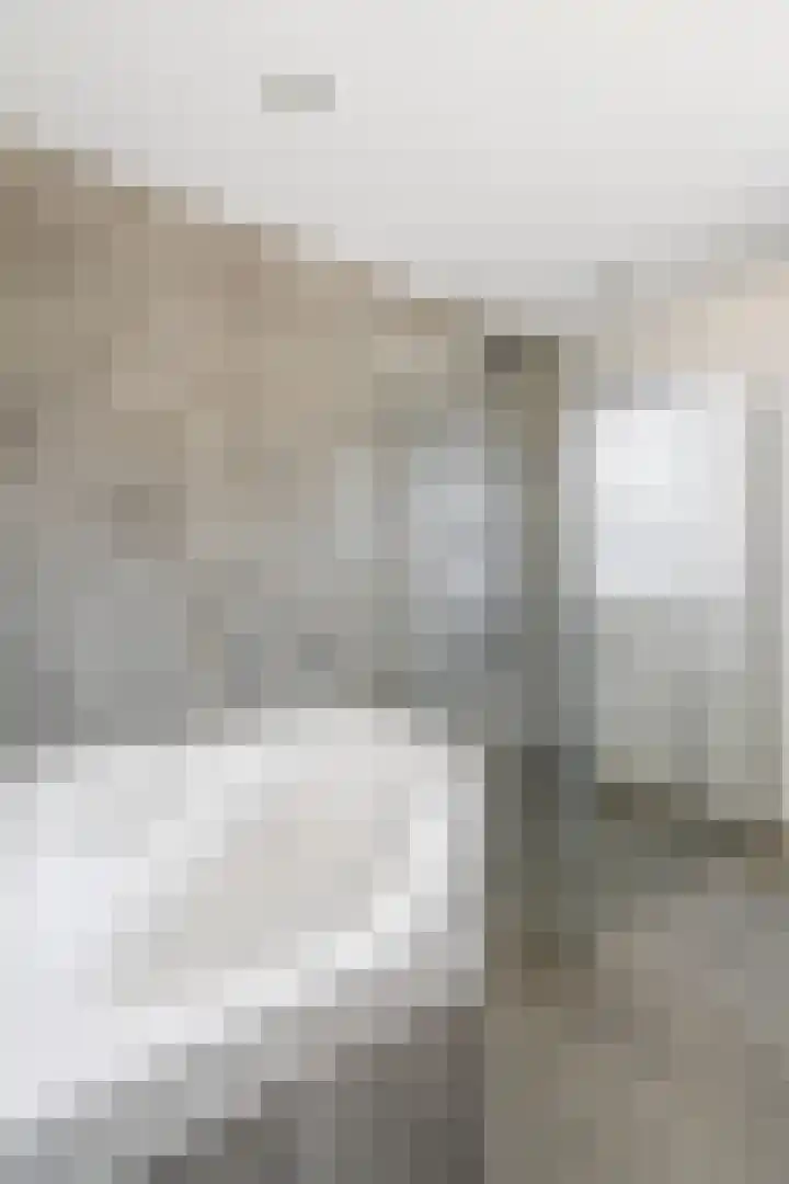 Hooghuijs 8 Nederweert thumbnail 38