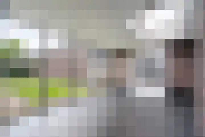 Hooghuijs 8 Nederweert thumbnail 4