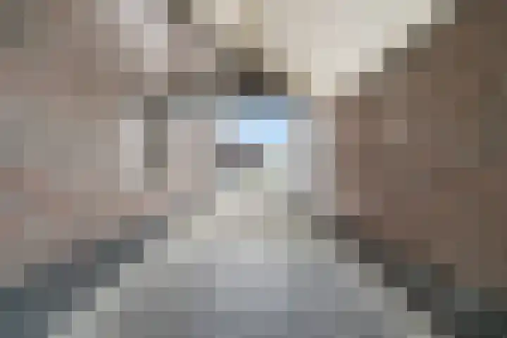 Hooghuijs 8 Nederweert thumbnail 49
