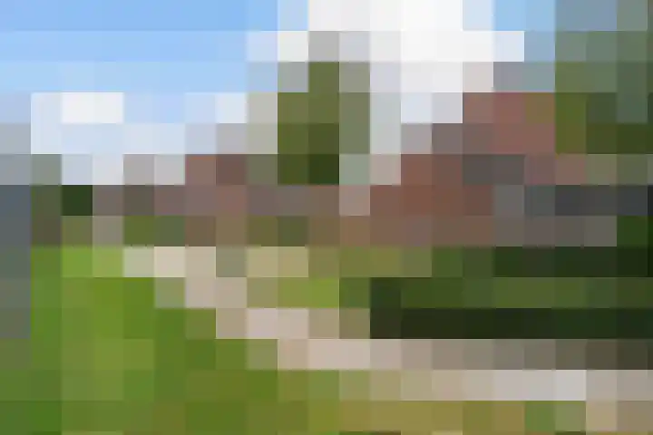 Hooghuijs 8 Nederweert thumbnail 52