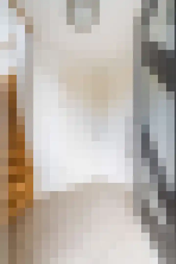 Hooghuijs 8 Nederweert thumbnail 9