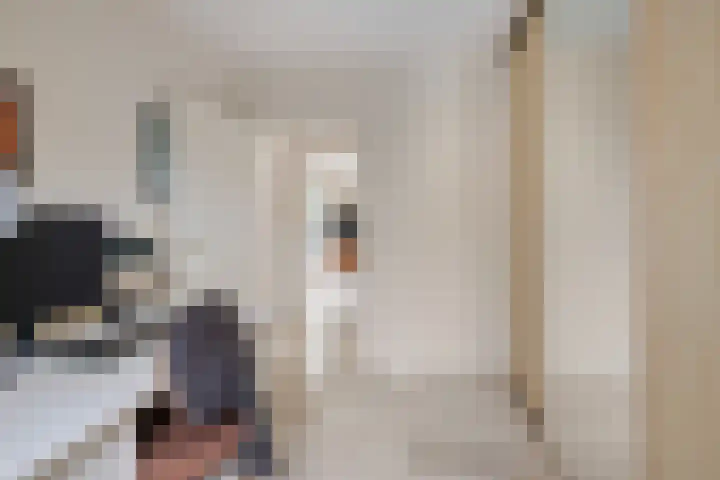 Hooghuis 13 Veldhoven thumbnail 18