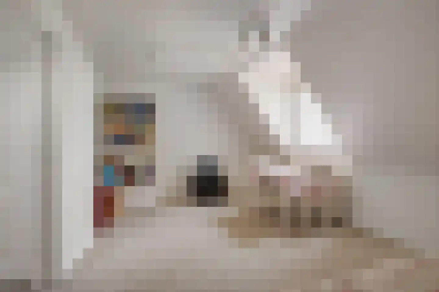 Hooghuis 13 Veldhoven thumbnail 28