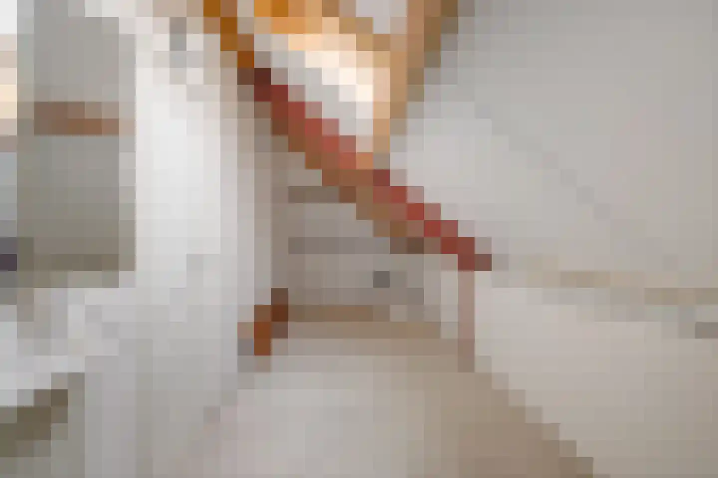 Hooghuis 13 Veldhoven thumbnail 35
