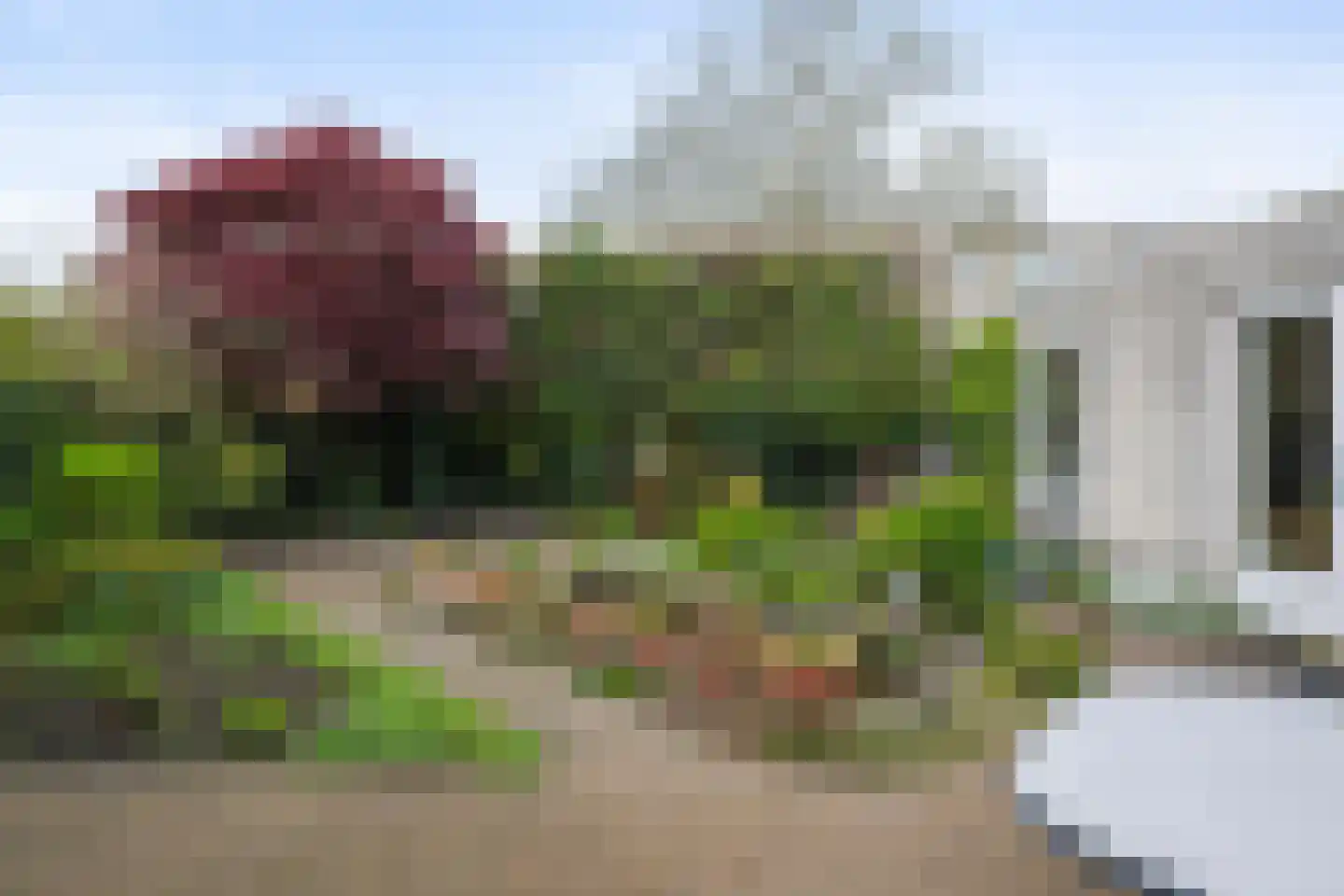 Hooghuis 13 Veldhoven thumbnail 36