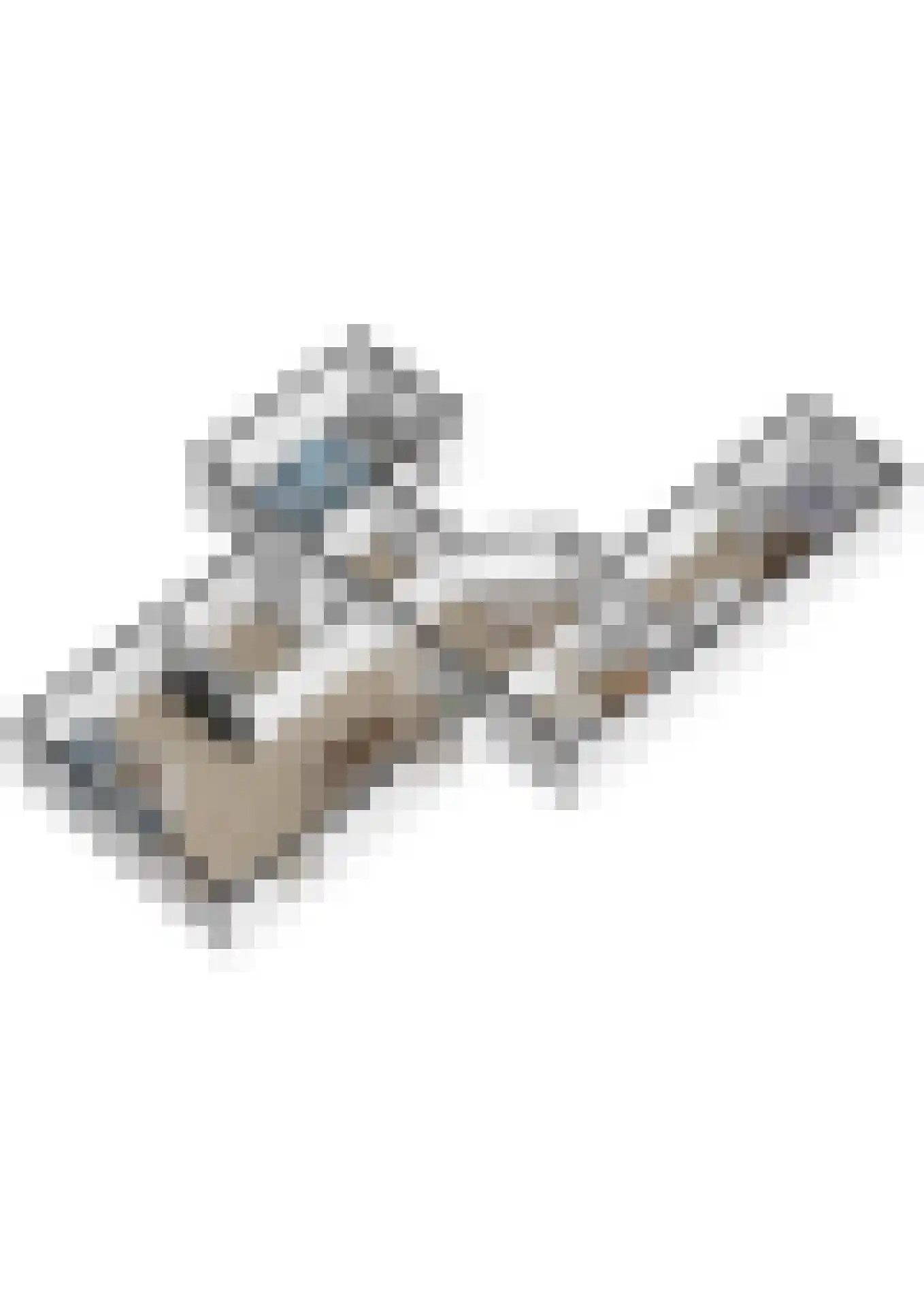 Hooghuis 13 Veldhoven thumbnail 47