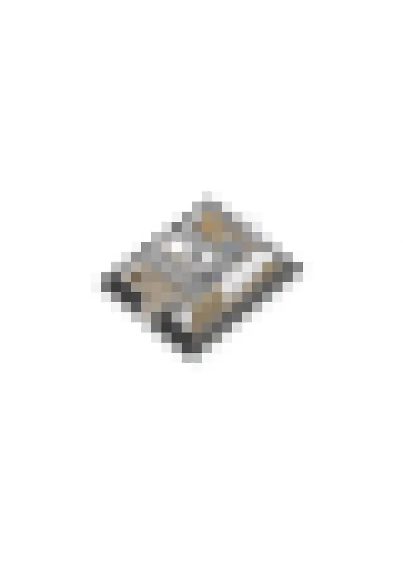 Hooghuis 13 Veldhoven thumbnail 49
