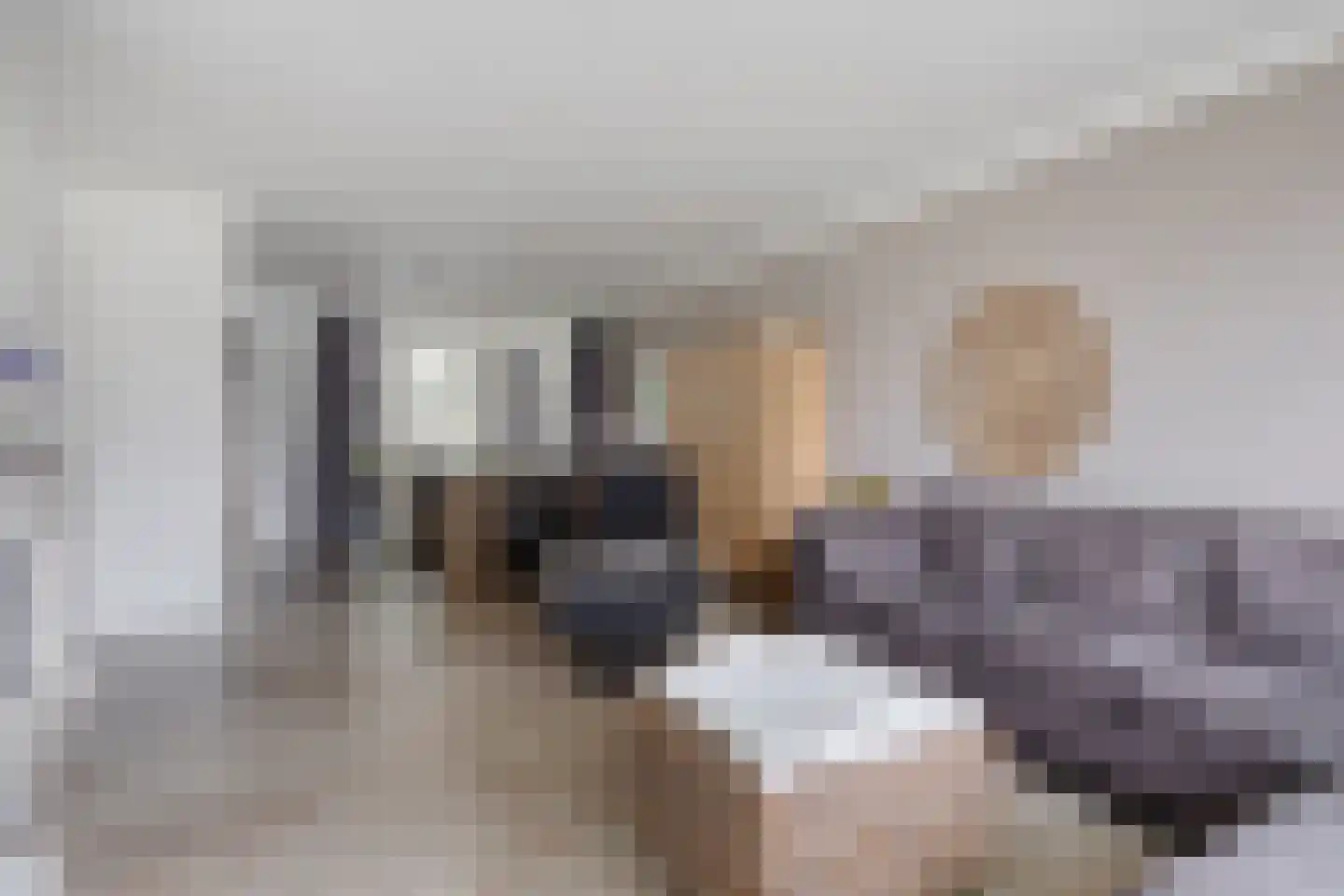 Hooghuis 8 Mierlo thumbnail 12
