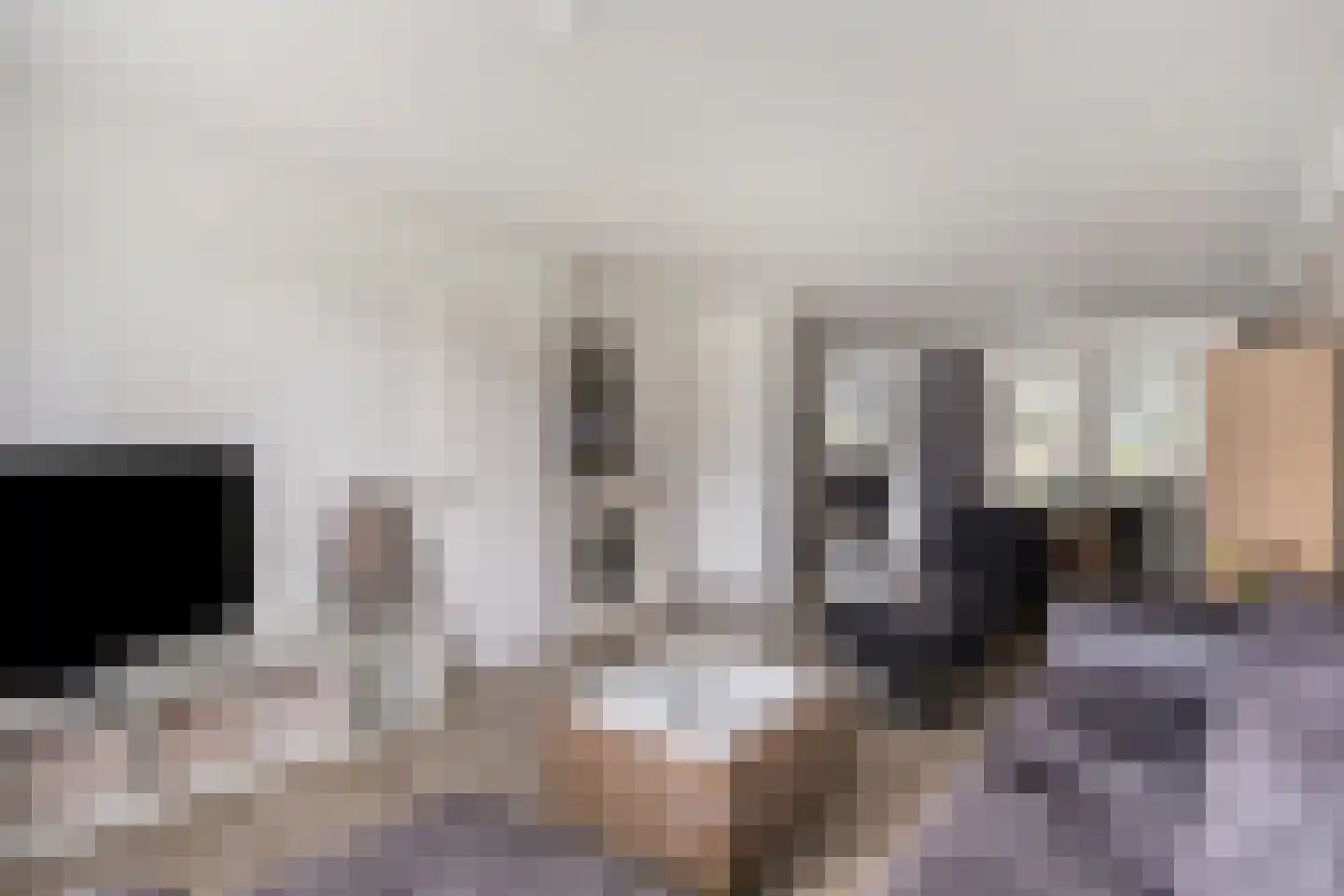 Hooghuis 8 Mierlo thumbnail 13