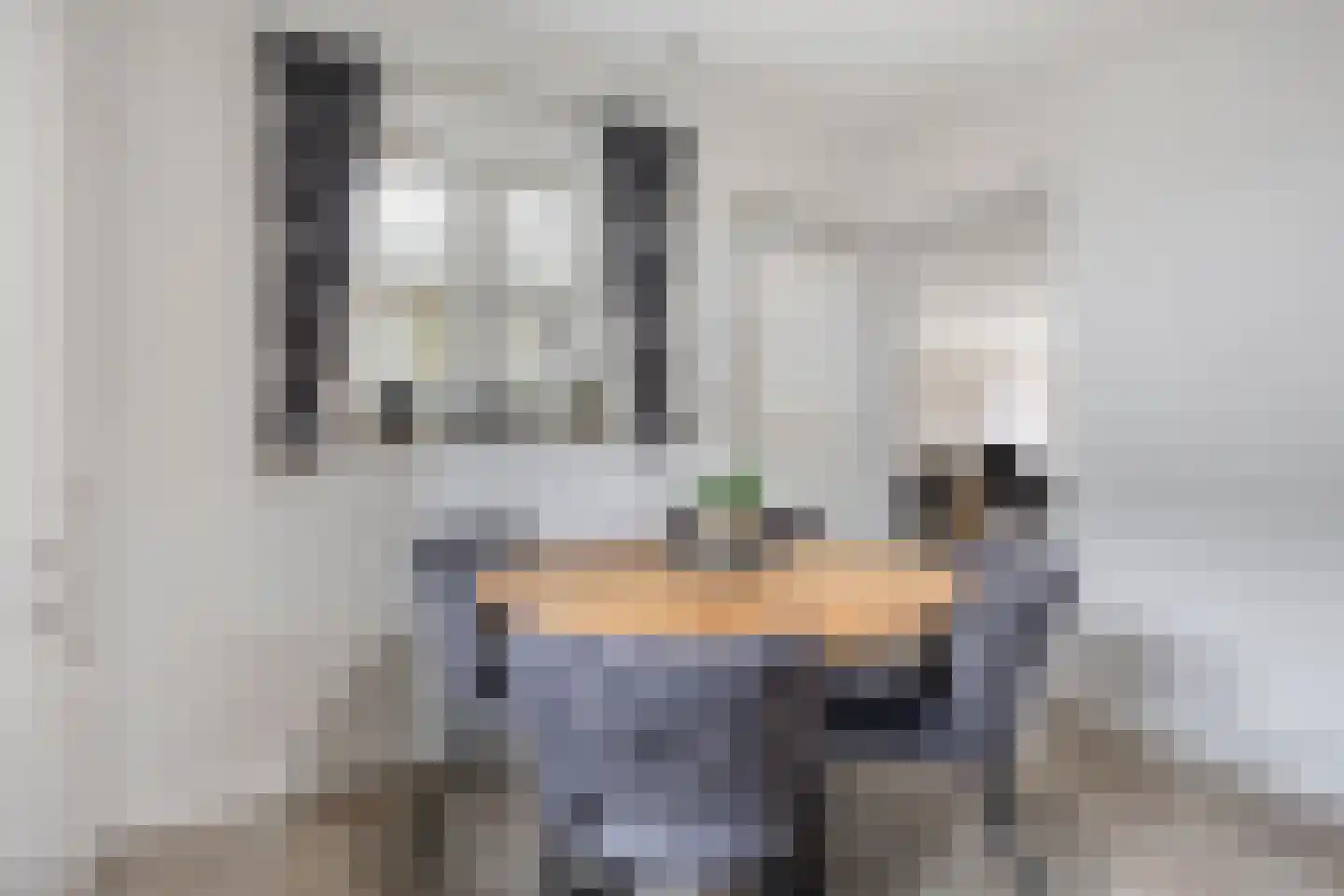 Hooghuis 8 Mierlo thumbnail 15