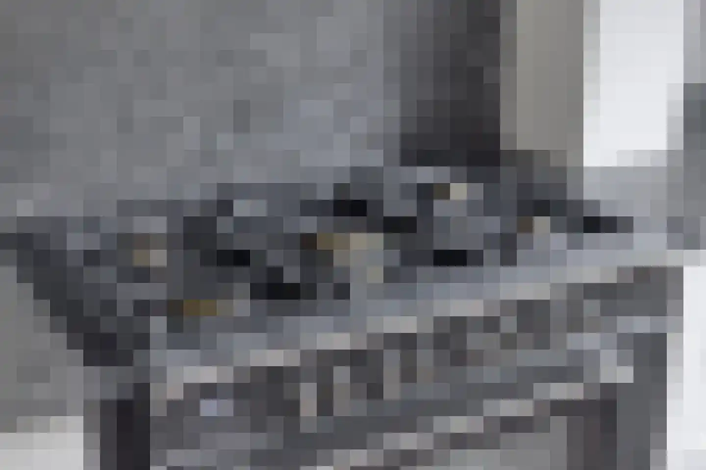 Hooghuis 8 Mierlo thumbnail 17