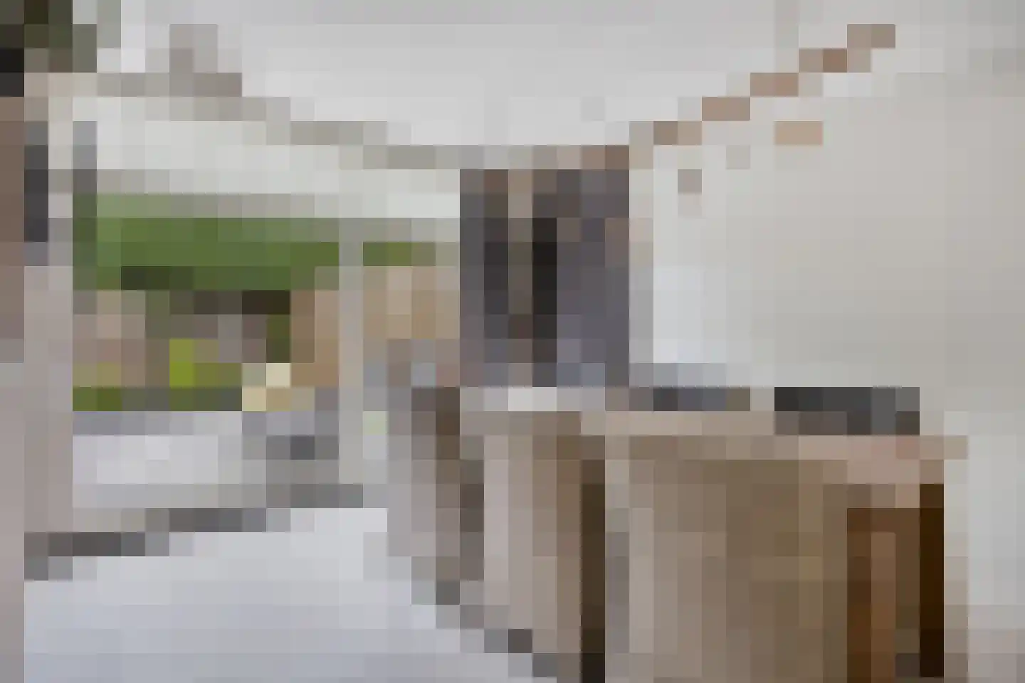 Hooghuis 8 Mierlo thumbnail 22