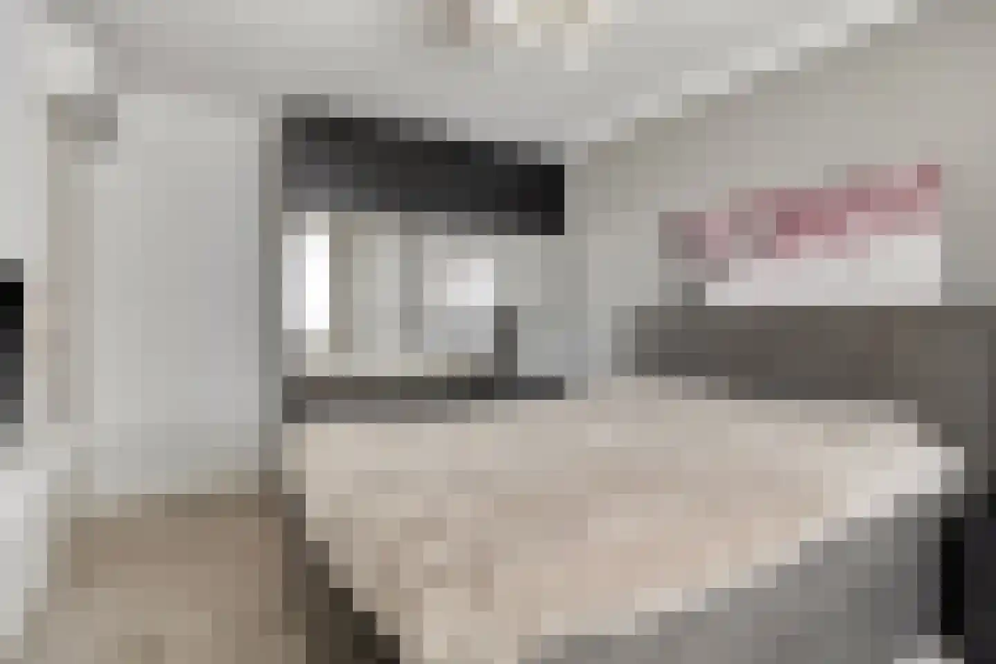 Hooghuis 8 Mierlo thumbnail 26
