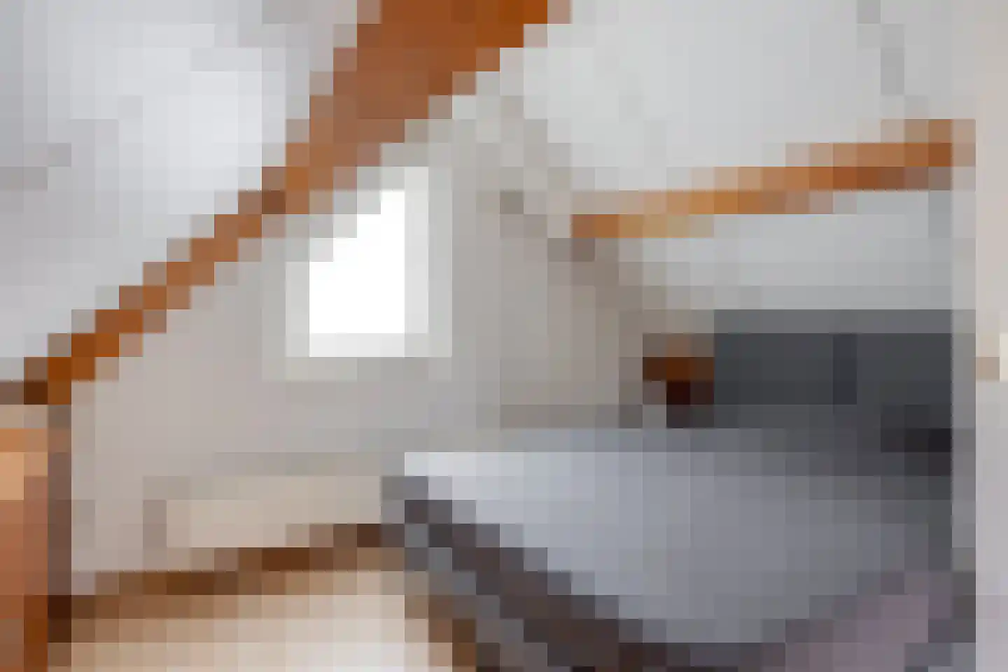 Hooghuis 8 Mierlo thumbnail 32