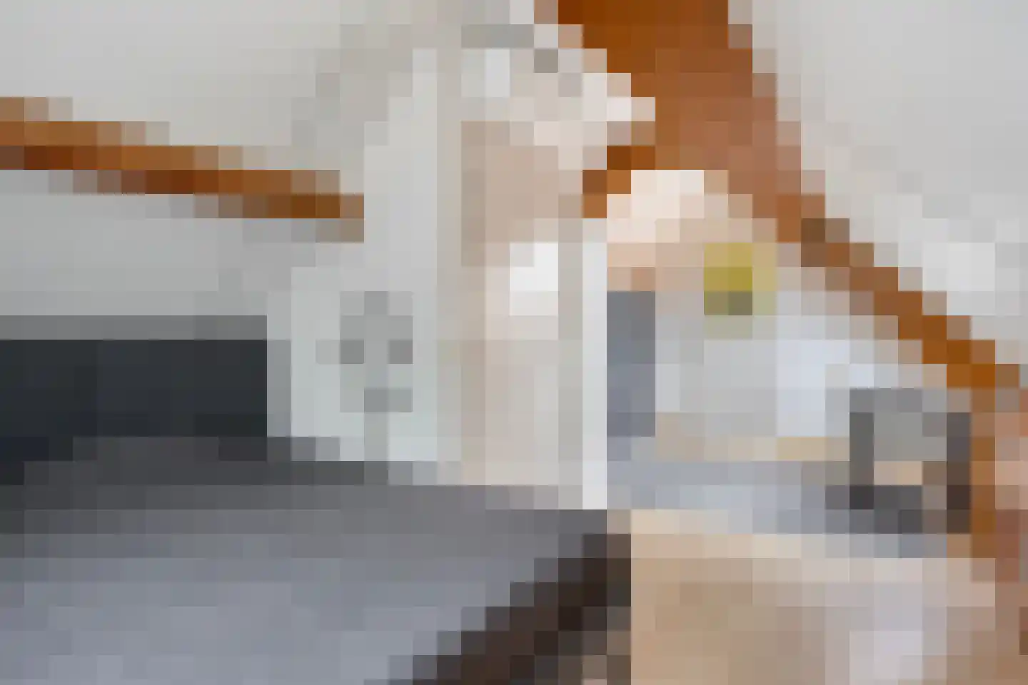 Hooghuis 8 Mierlo thumbnail 33