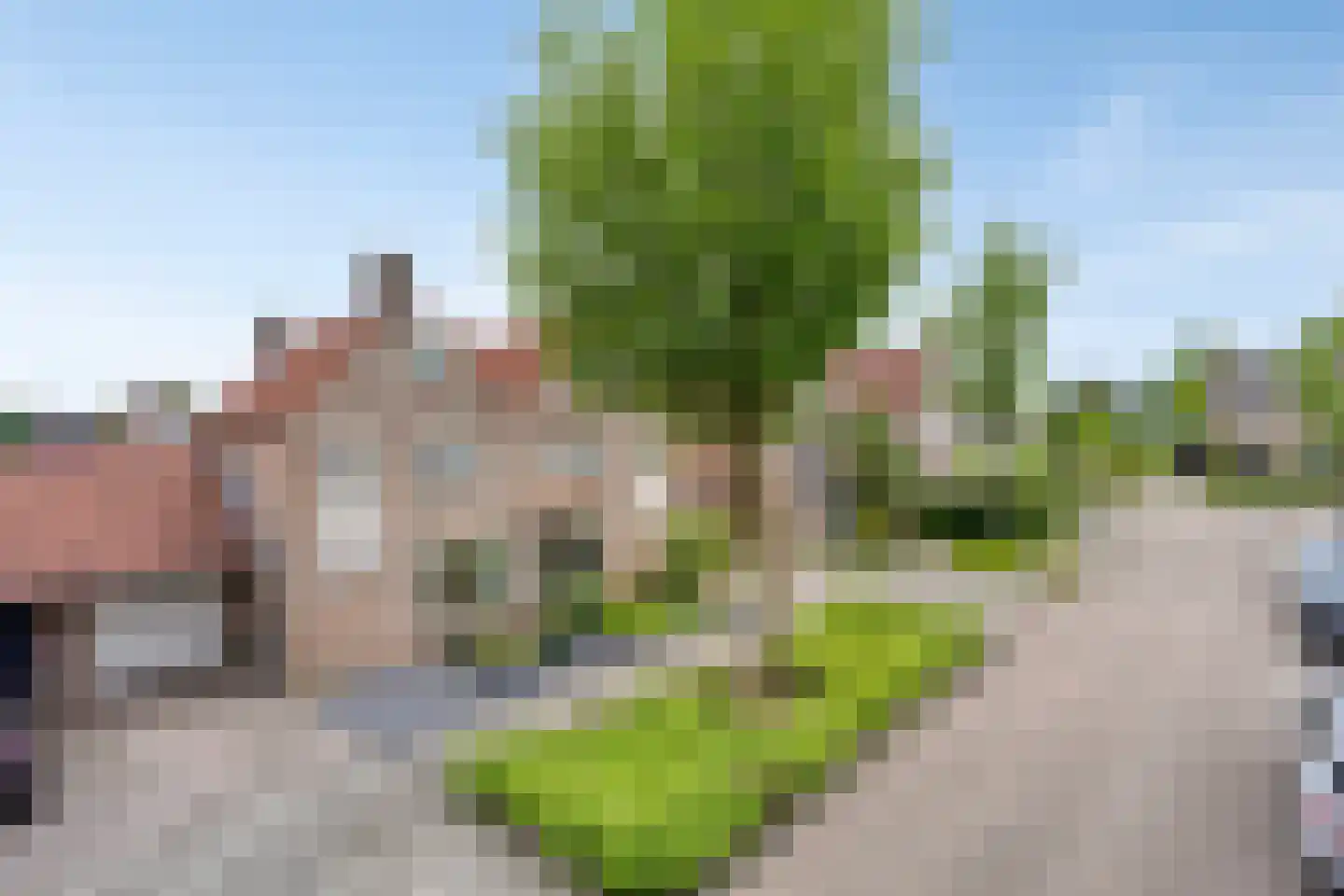 Hooghuis 8 Mierlo thumbnail 45