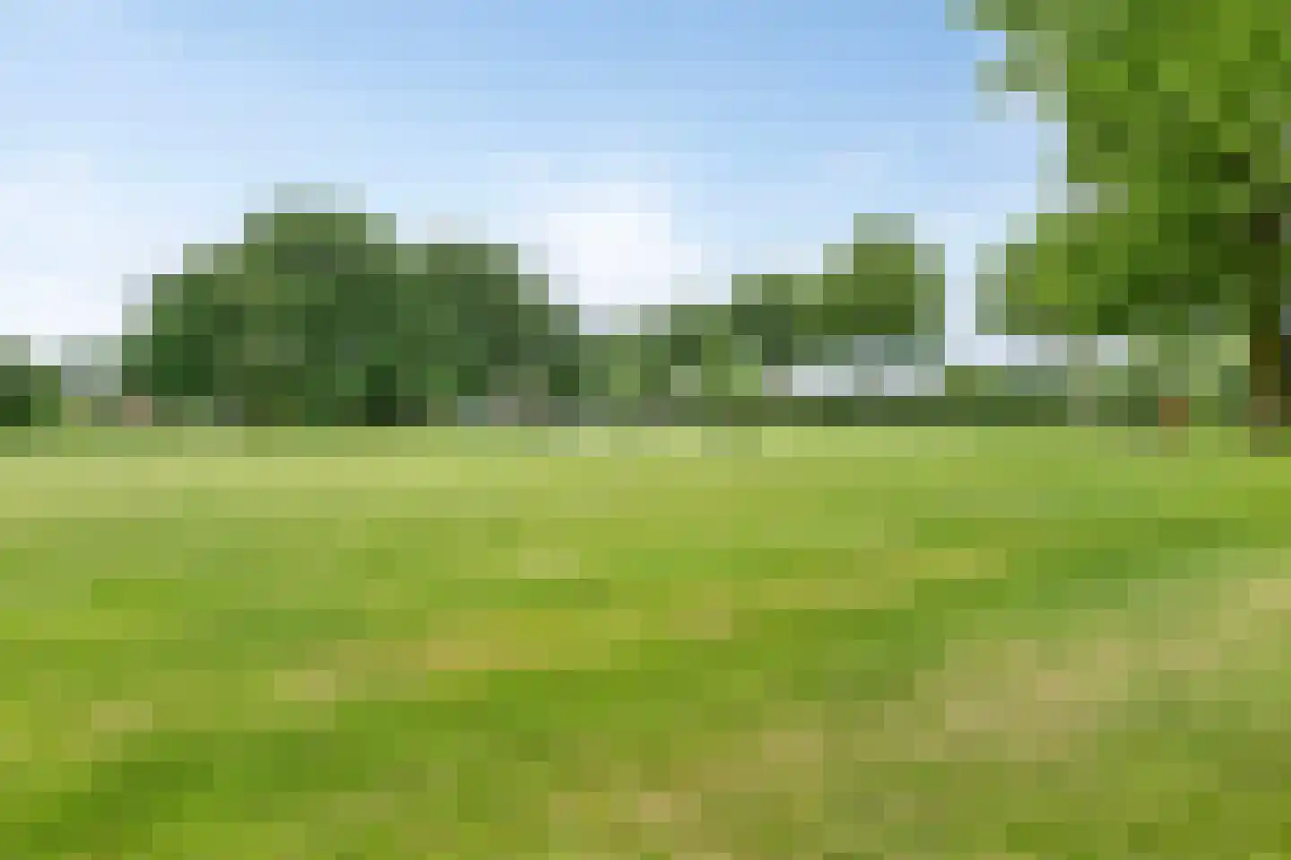 Hooghuis 8 Mierlo thumbnail 46
