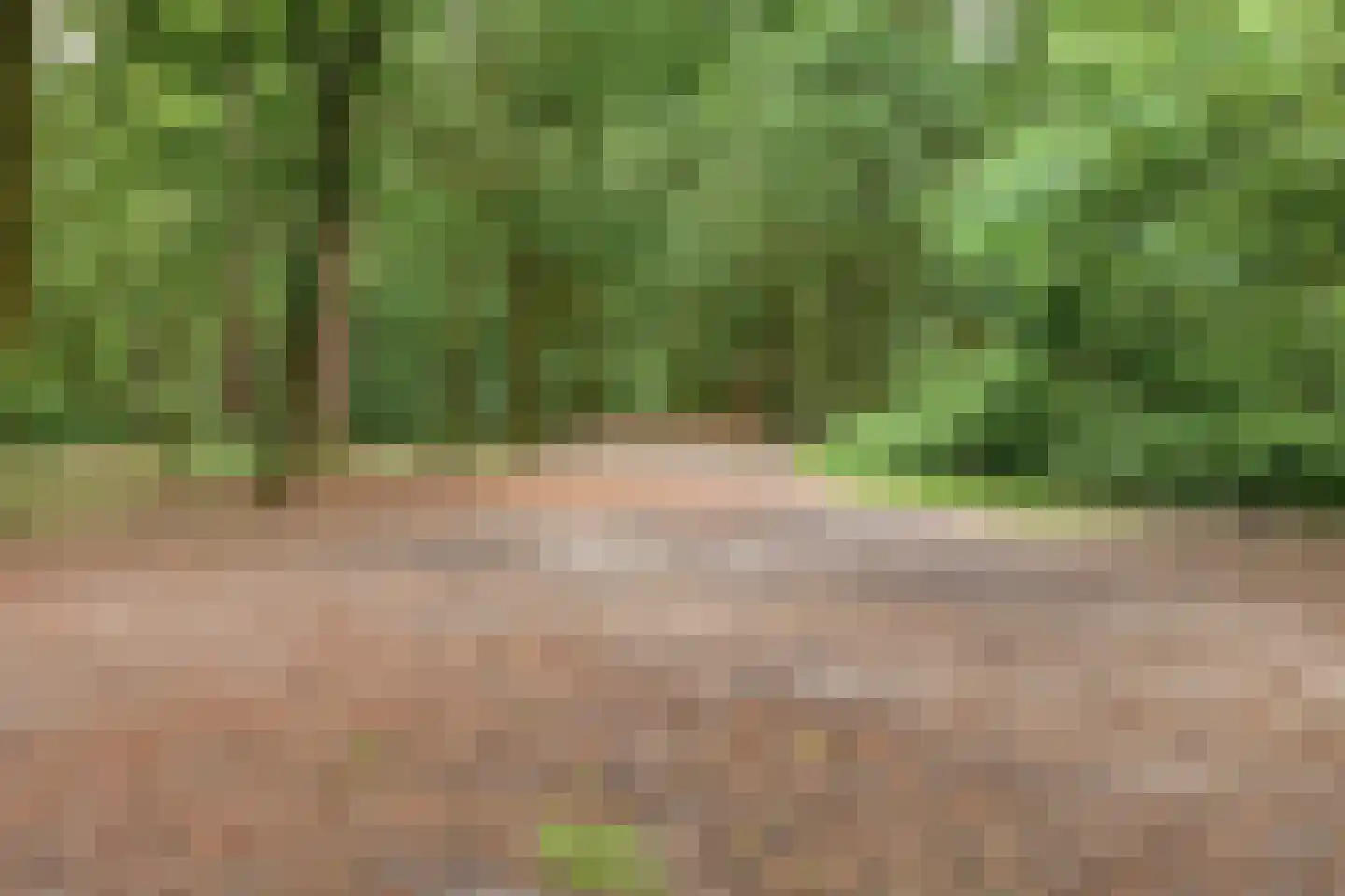 Hooghuis 8 Mierlo thumbnail 47