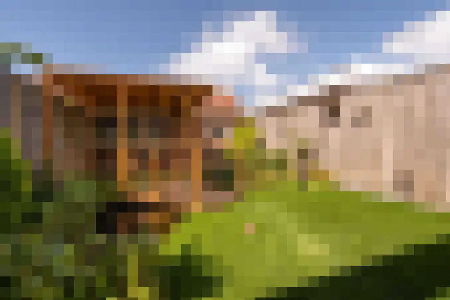 Hooghuisstraat 108 Bergen op Zoom thumbnail 22