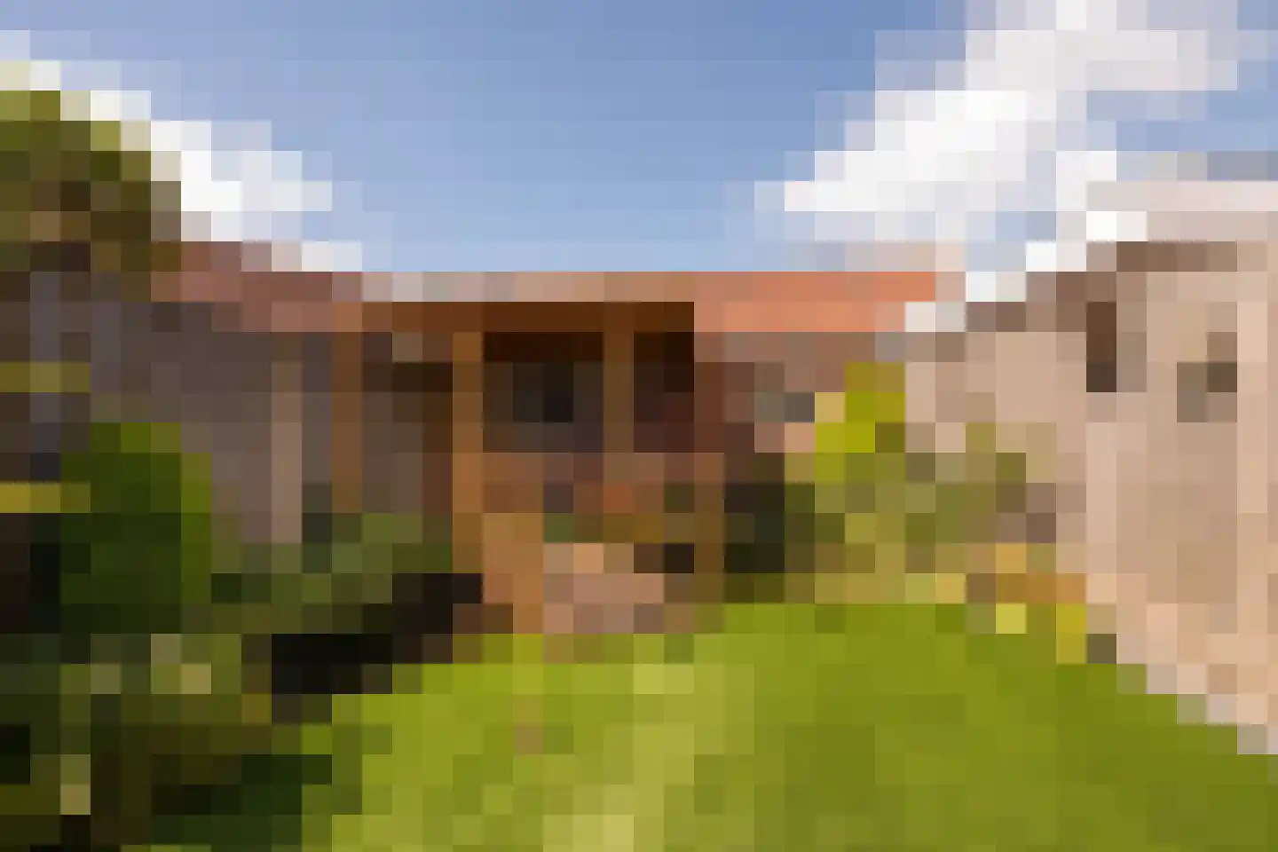 Hooghuisstraat 108 Bergen op Zoom thumbnail 23