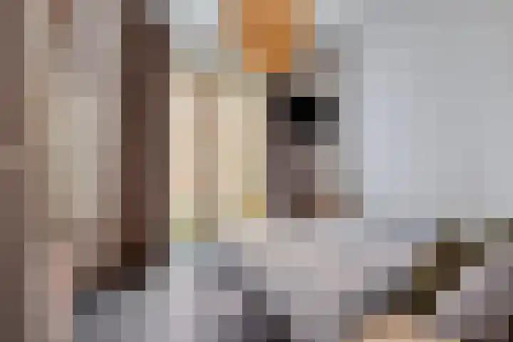 Hooghuisstraat 18 A Oss thumbnail 12