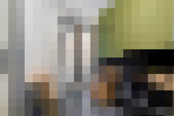 Hooghuisstraat 18 A Oss thumbnail 13