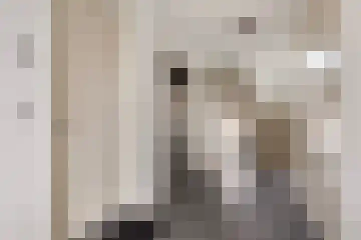 Hooghuisstraat 18 A Oss thumbnail 20